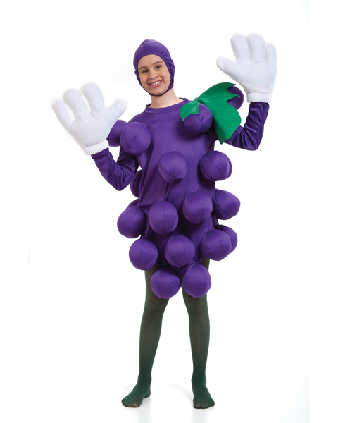 Unisex Purple Grapes Childs Costume