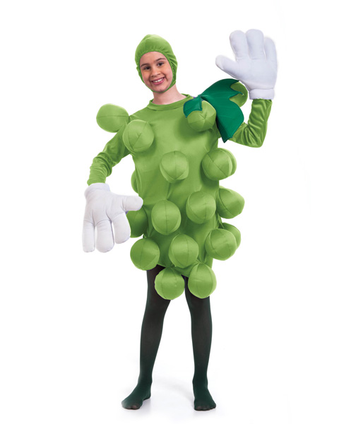 Unisex Green Grapes Childs Costume - Click Image to Close