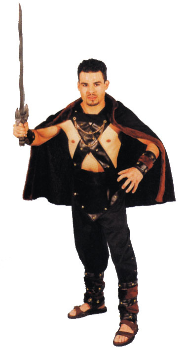Viking Warrior Adult Costume - Click Image to Close