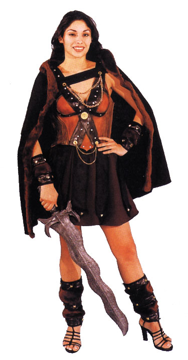 Viking Warrior Lady Adult Costume - Click Image to Close