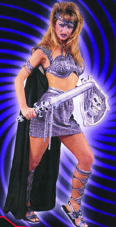 Millenium Warrior Adult Costume - Click Image to Close