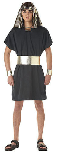 Adult Egyptian Pharaoh Costume - Click Image to Close