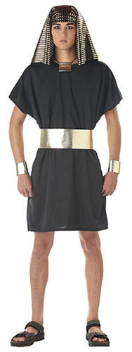 Adult Egyptian Pharaoh Costume