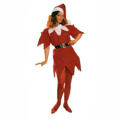 Miss Santa Tunic Standard Costume - Click Image to Close