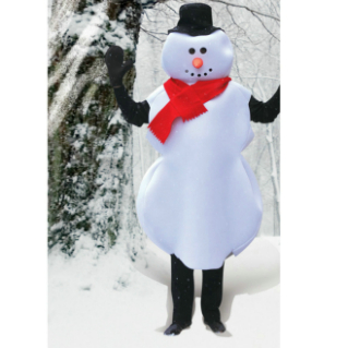 Mr. Snowman Adult Costume