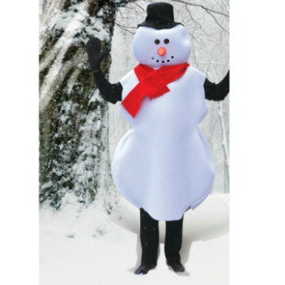 Mr. Snowman Adult Costume - Click Image to Close