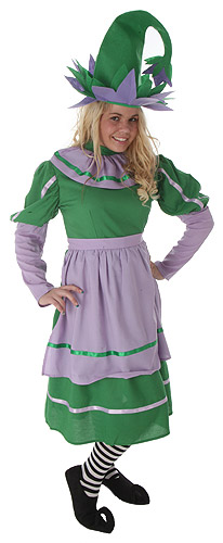 Adult Munchkin Girl Costume - Click Image to Close