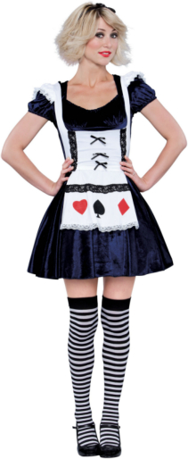 Gothic Alice Adult Costume