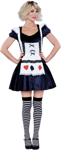 Gothic Alice Adult Costume - Click Image to Close