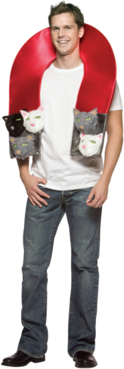 Pussy(cat) Magnet Adult Costume