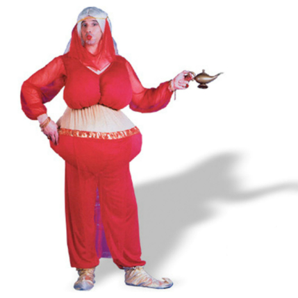 Harem Scarem Adult Costume - Click Image to Close