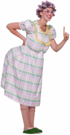 Aunt Gertie Adult Costume - Click Image to Close