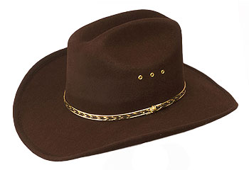 Brown Cowboy Hat - Click Image to Close