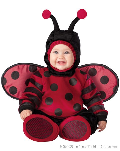 Infant Toddler Itty Bitty Lady Bug Costume - Click Image to Close