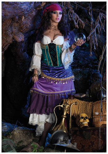 Deluxe Tarot Card Gypsy Costume