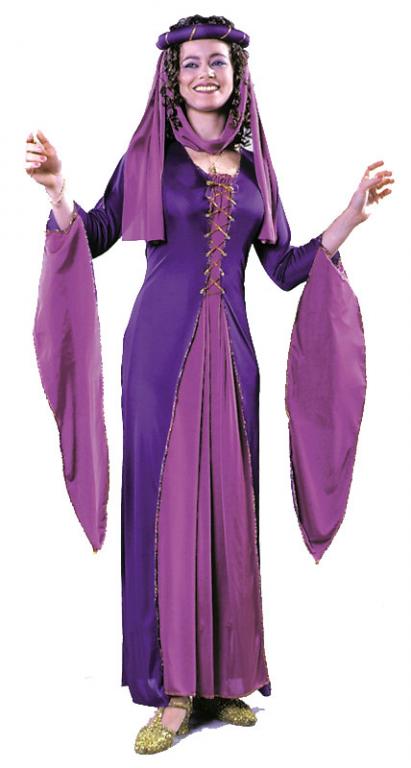 Medieval Princess Adult Costume - Click Image to Close