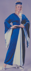 Medieval Queen Velvet Plus Size Adult Costume