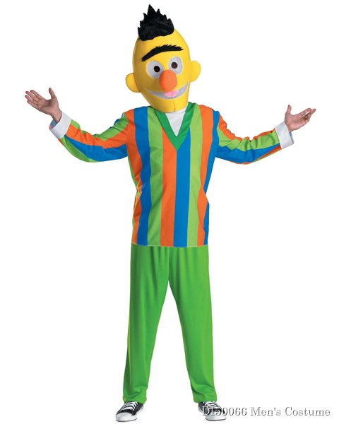 Adult Sesame Street Bert Costume