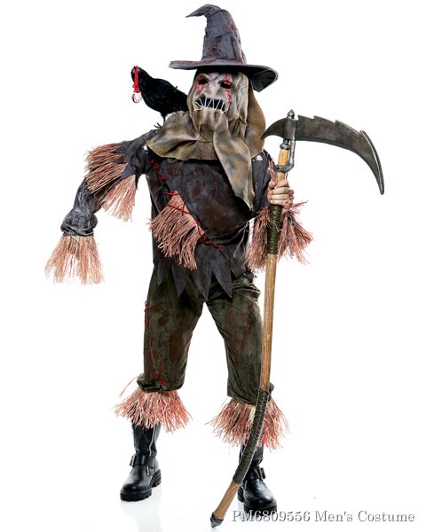 Adult The Wicked Of Oz Skarecrow Costume - Click Image to Close