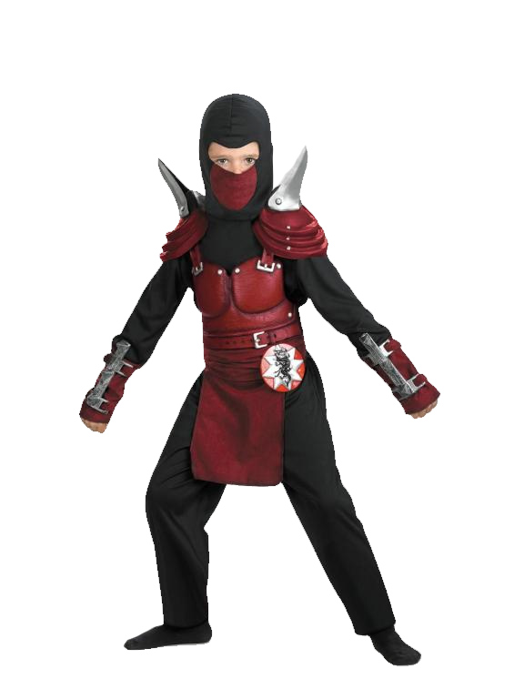 Blade Ninja Costume - Click Image to Close