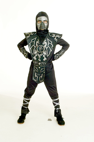 Ice Dragon Ninja Costume - Click Image to Close