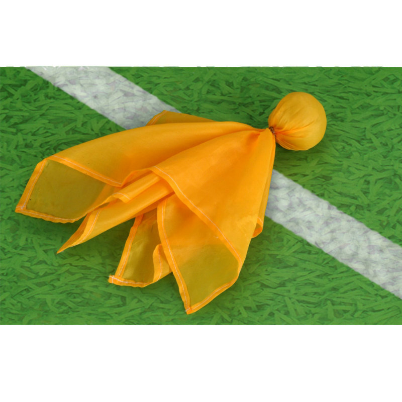 Penalty Flag 9