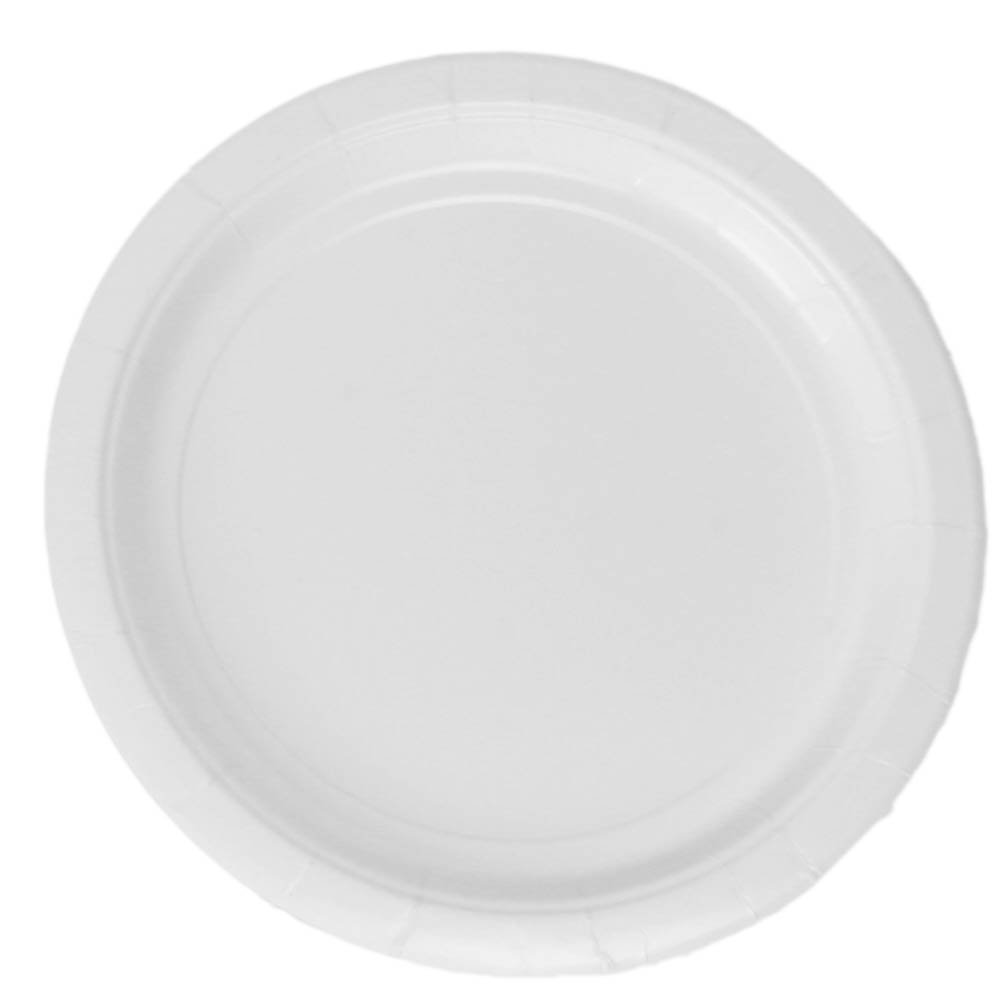 Frosty White Paper Dessert Plates (24 count)