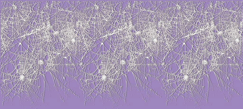 30' Spider Web Border Roll - Click Image to Close