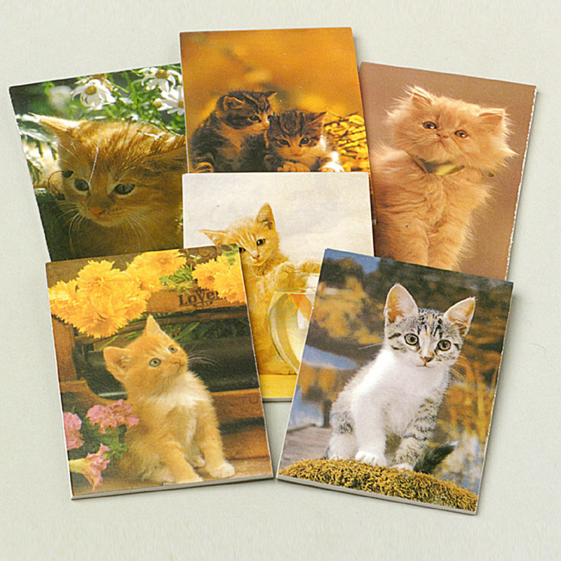 Cat Memo Pads Asst. (12 count) - Click Image to Close