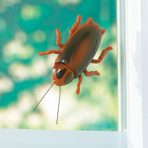 Window Walking Cockroach Toy - Click Image to Close