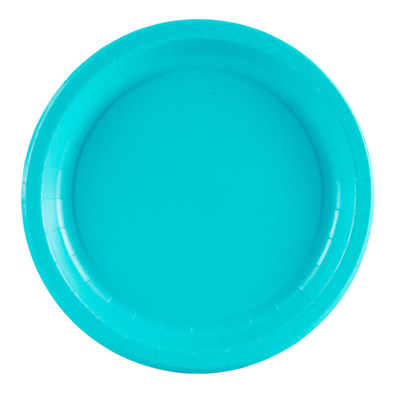 Turquoise Dinner Plates (24 count) - Click Image to Close