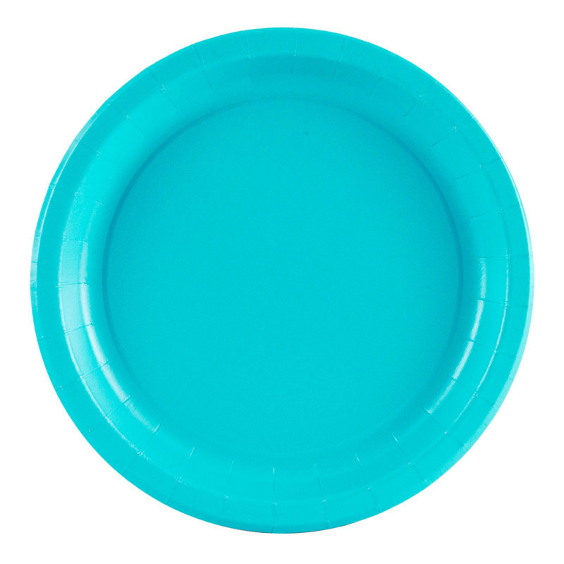 Turquoise Dinner Plates (24 count)