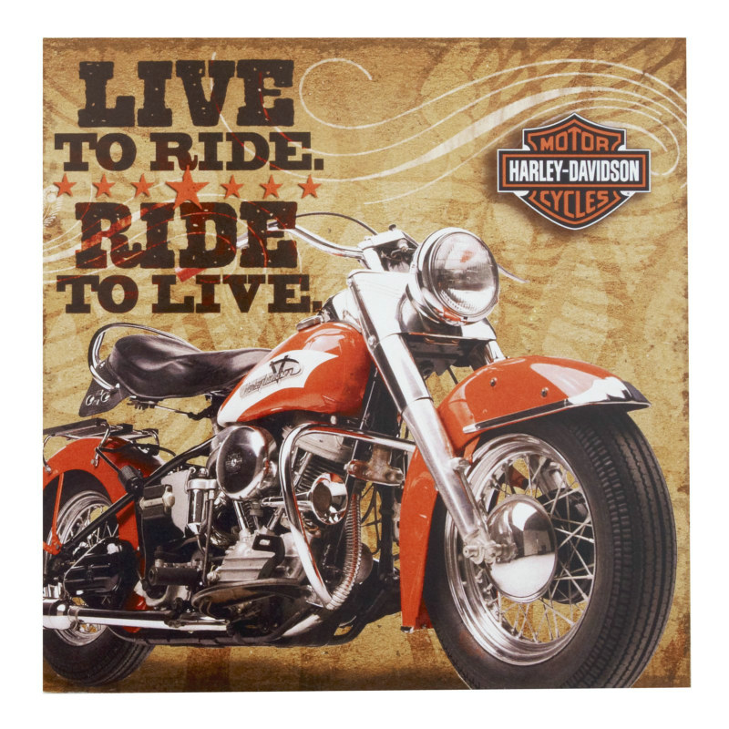 Harley Davidson Lunch Napkins (16 count) - Click Image to Close