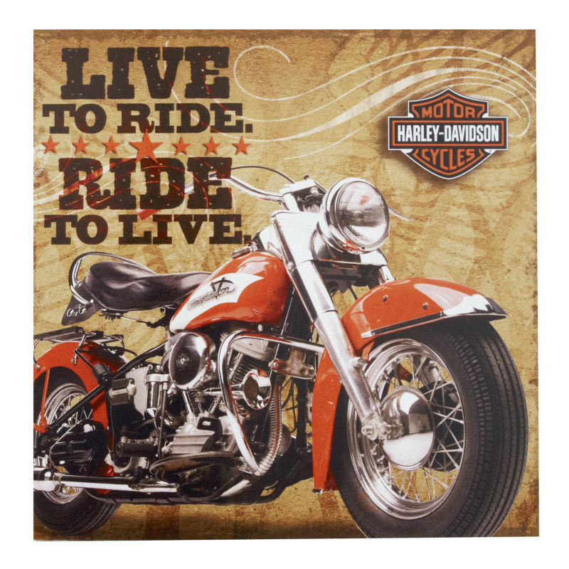 Harley Davidson Lunch Napkins (16 count)