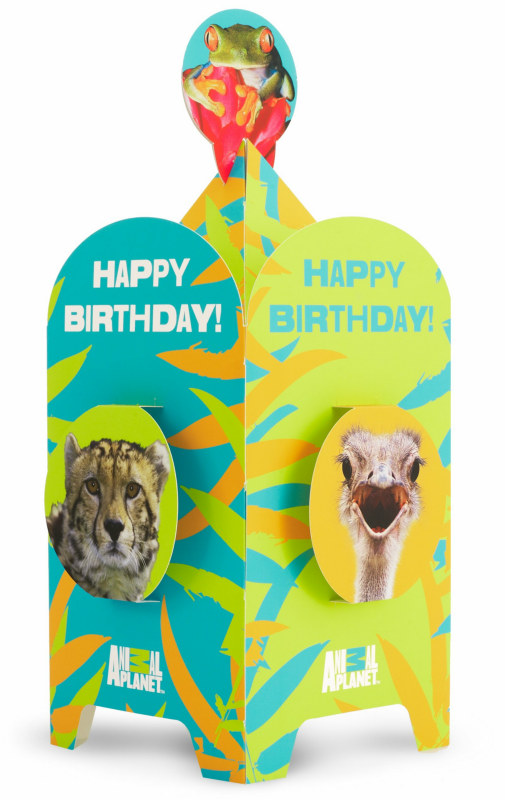 Animal Planet Friends Centerpiece - Click Image to Close