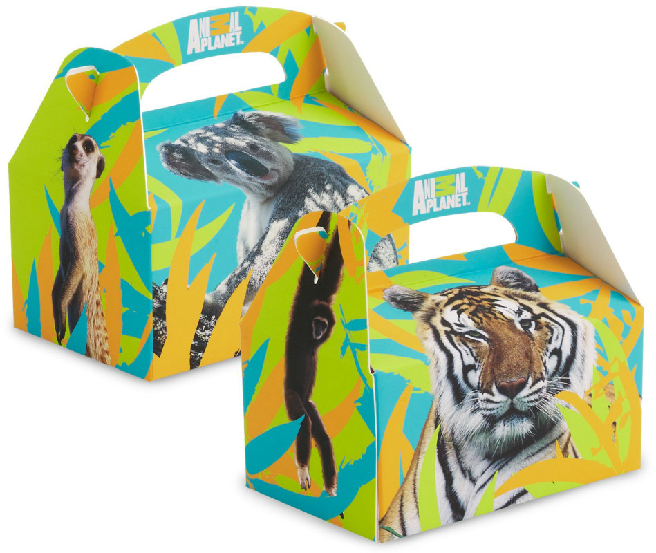Animal Planet Friends Empty Favor Boxes (4 count) - Click Image to Close
