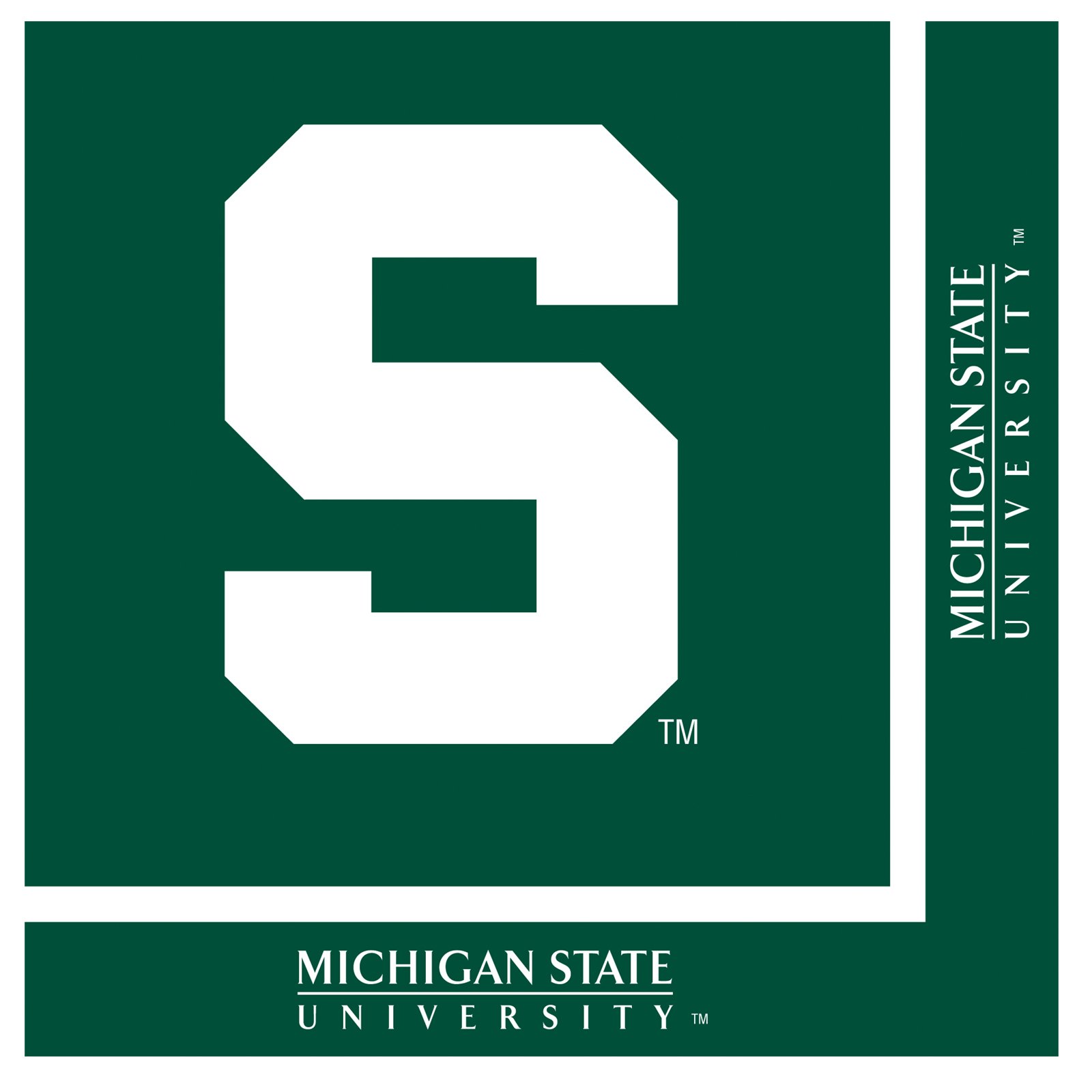 Michigan State Spartans - Lunch Napkins (20 count) - Click Image to Close