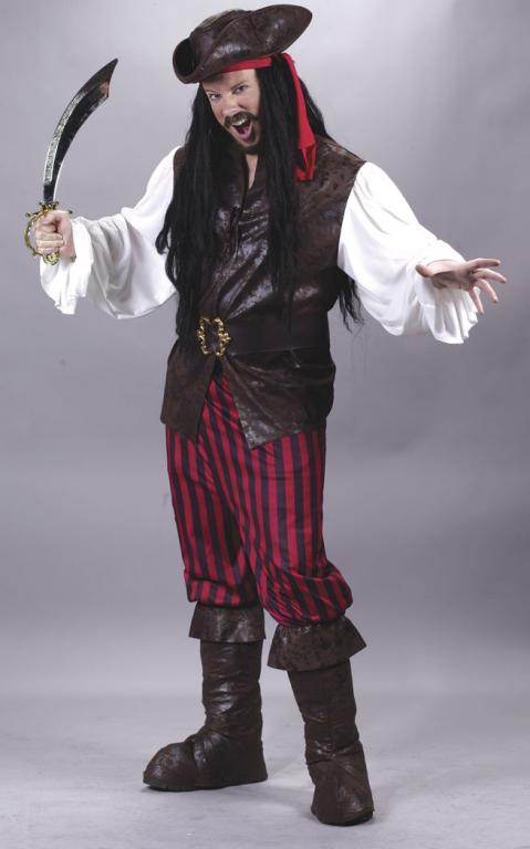 High Seas Pirate Man Adult Costume - Click Image to Close