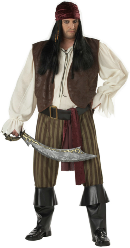 Rogue Pirate Adult Plus Costume - Click Image to Close