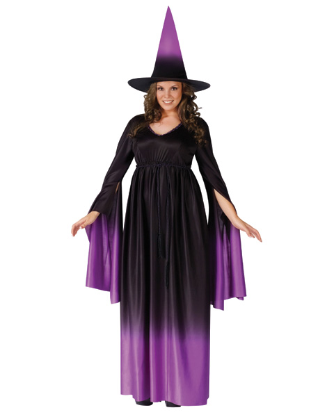 Magical Witch Plus Size Costume - Click Image to Close