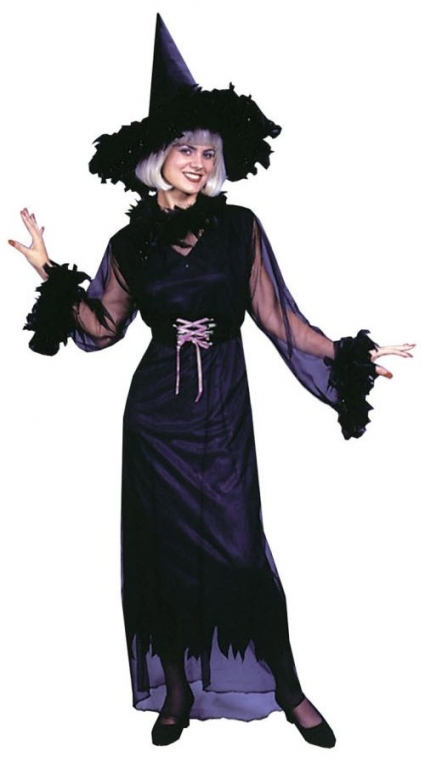 Feather Witch Plus Size Adult Costume - Click Image to Close