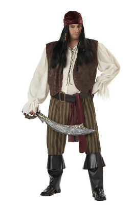 Rogue Pirate Plus Size Adult Costume - Click Image to Close