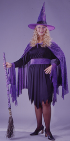 Shimmering Witch Plus Size Adult Costume