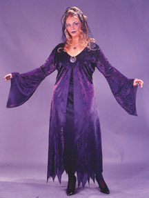 Spell Spinner Plus Size Adult Costume - Click Image to Close