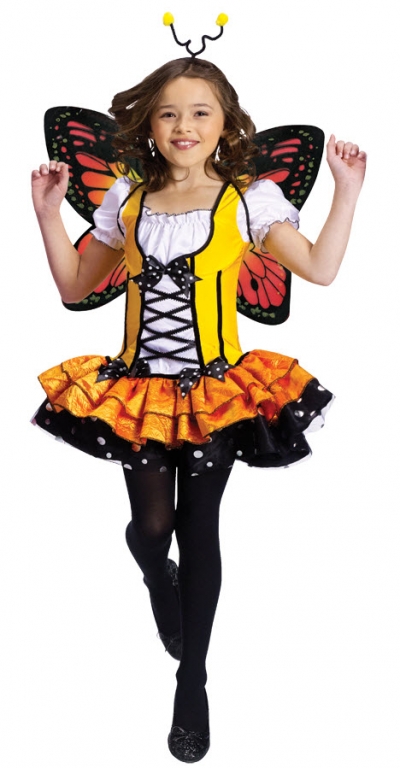 Butterfly Princess Costume