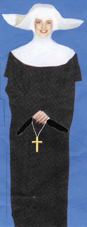 Flying Nun Adult Costume - Click Image to Close