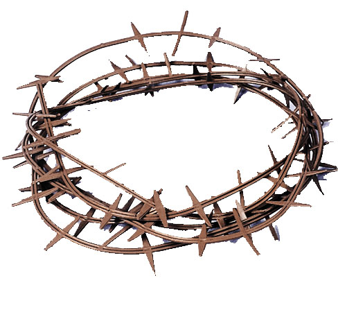 Crown Of Thorns - Click Image to Close