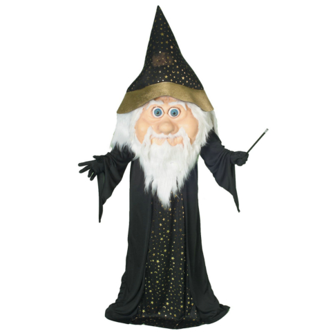 Parade Wizard Adult Costume