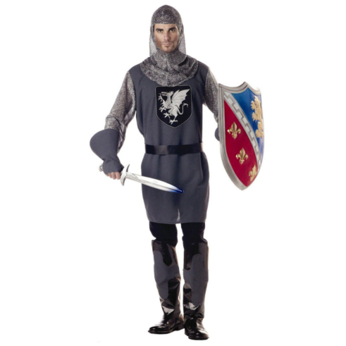 Valiant Knight Adult Costume