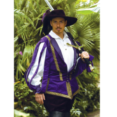 Italian Doublet (Purple) Renaissance Collection Adult Costume - Click Image to Close